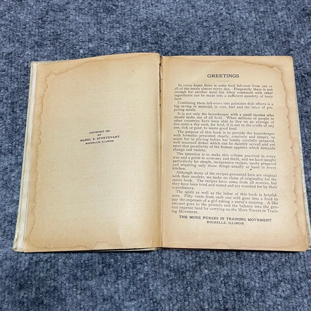 Vintage 1920 The Cook Book of Left-Overs Mabel Sturtevant Illinois First Edition
